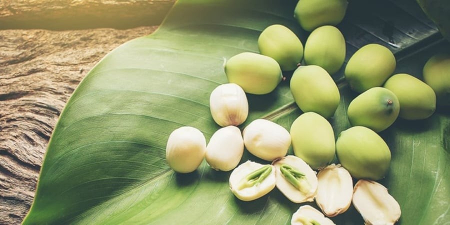 Người ta thường dùng tâm sen để pha trà