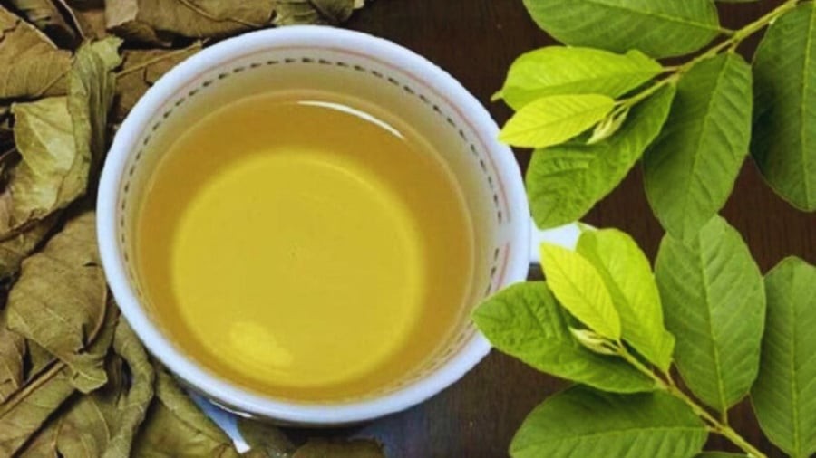Uống nước lá ổi rất hại với 5 người này: Hãy tránh xa!