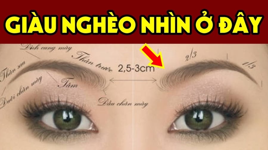 Tướng lông mày phát tài
