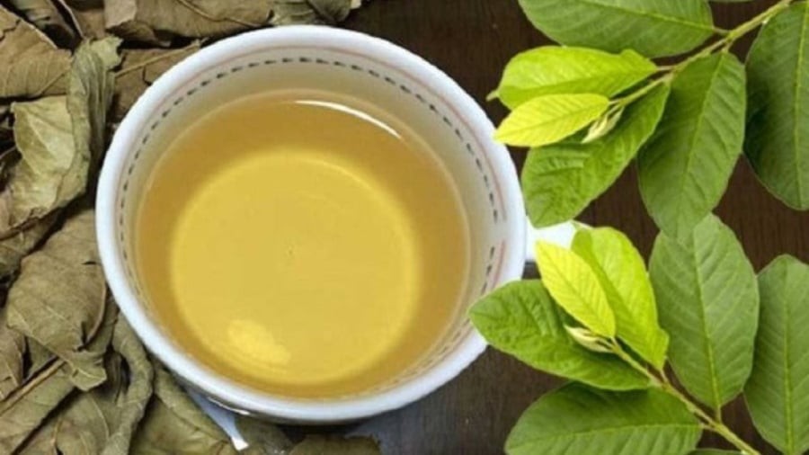 5 người này uống nước lá ổi là Thần Dược: Vừa trẻ, vừa khỏe, lợi đủ đường