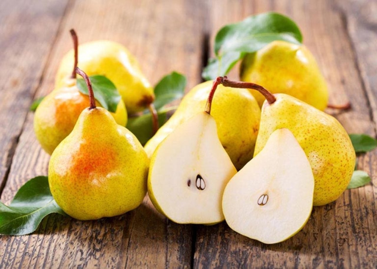 Lê giúp làm ẩm phổi và giảm ho