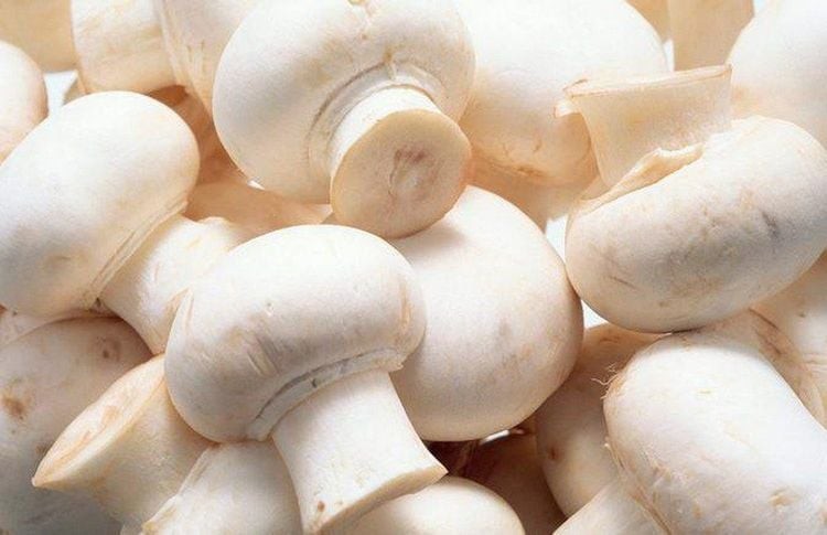 Nấm trắng tốt cho sức khỏe