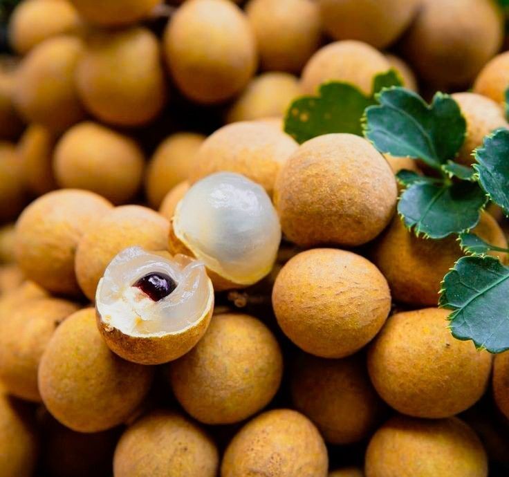 Nhãn giàu dinh dưỡng nhưng những người này nên hạn chế