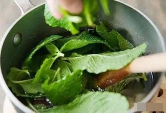 Chuột rất nhạy cảm với mùi bạc hà, vì vậy bạn có thể tận dụng lá bạc hà tươi hoặc khô để xua đuổi chúng.