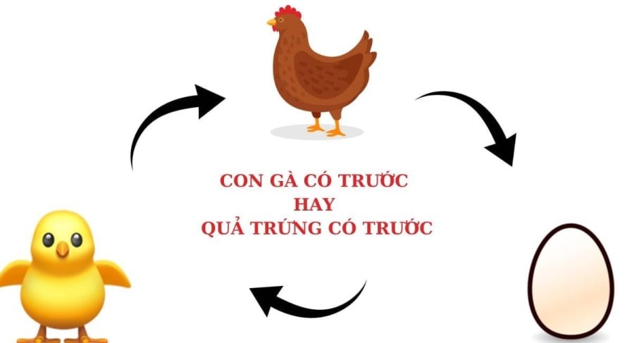 Quả trứng có trước hay con gà có trước: Đã tìm ra đáp án chính xác