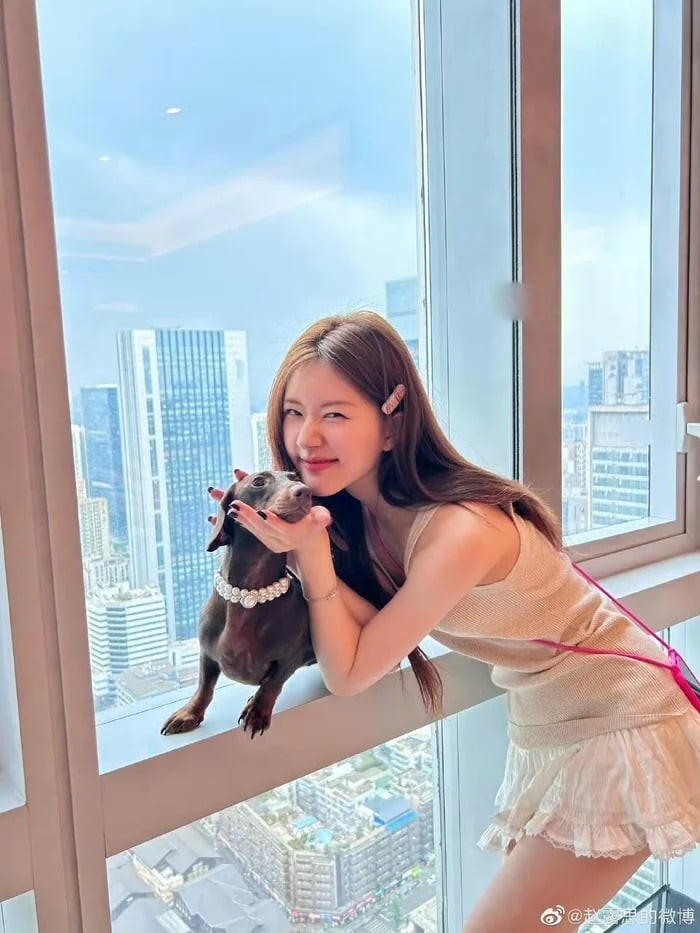 Mới đây, cộng đồng mạng bất ngờ phát hiện tài khoản Weibo của nữ diễn viên đã biến mất.