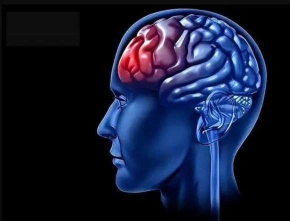 Các chuyên gia cảnh báo: “Phát hiện càng sớm, cơ hội sống càng nhiều. Thời gian chính là sự sống!”

