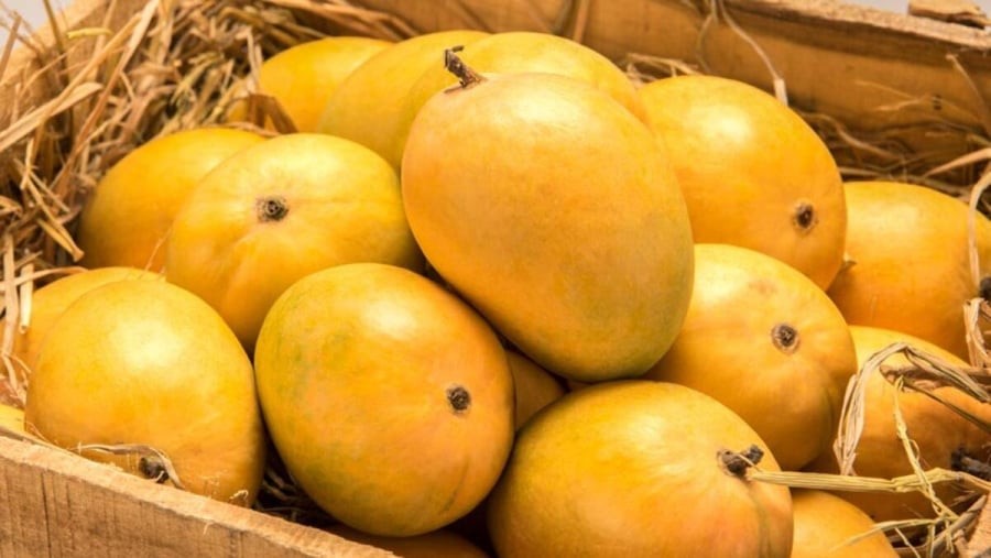 5-cach-u-xoai-nhanh-chin-tu-nhien-dung-cach-va-hieu-qua-nhat-avt-1200x676