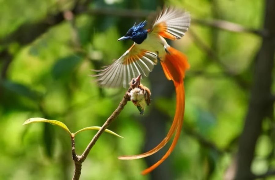 Người sinh ngày 18 Âm lịch thường sở hữu tấm lòng rộng lượng, bao dung. (Ảnh minh họa)