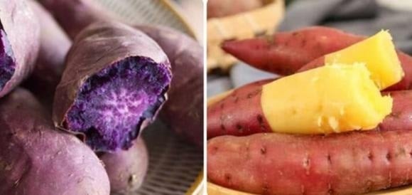 Khoai lang giàu carbohydrate phức tạp và chất xơ, khi vào ruột có thể lên men tạo khí.