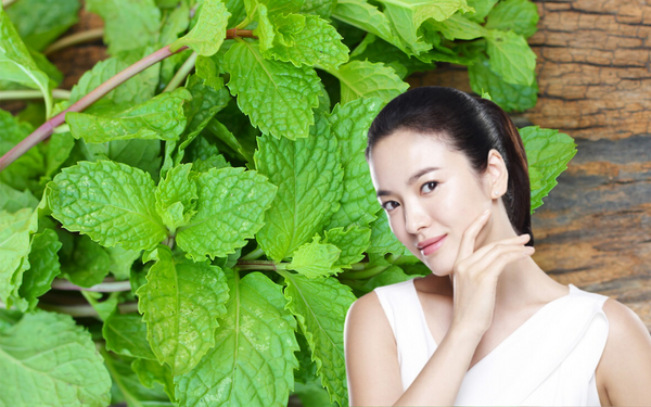 Ít ai biết rằng bạc hà còn giúp làm mờ vết thâm, nám và quầng thâm mắt.