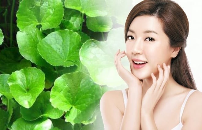Rau má còn được coi là “bí quyết làm đẹp xanh” mà nhiều thế hệ phụ nữ tin dùng.