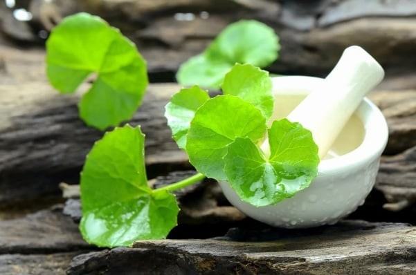 Lượng dưỡng chất trong rau má sẽ cung cấp độ ẩm, làm dịu và thúc đẩy quá trình chữa lành tự nhiên của da.