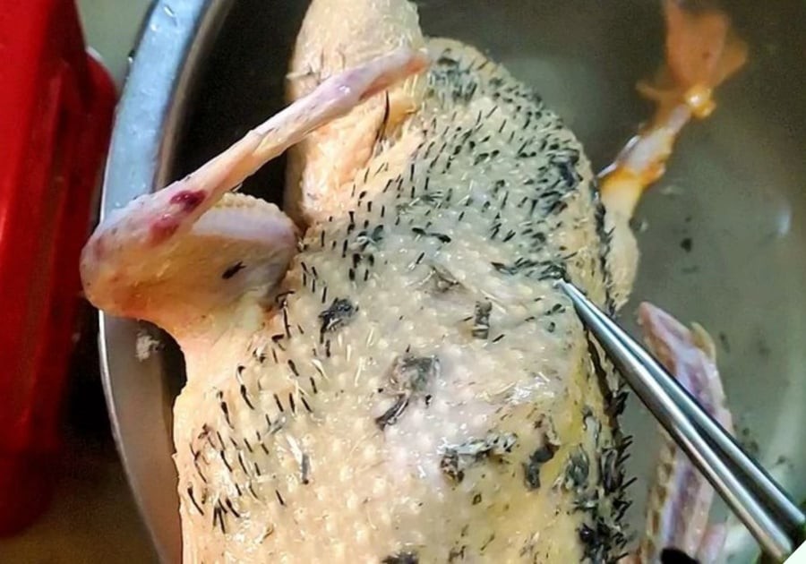 Vịt đầy lông măng thịt mãi không sạch: Vò nắm lá này thả vào chậu nước, 5 phút sạch bung