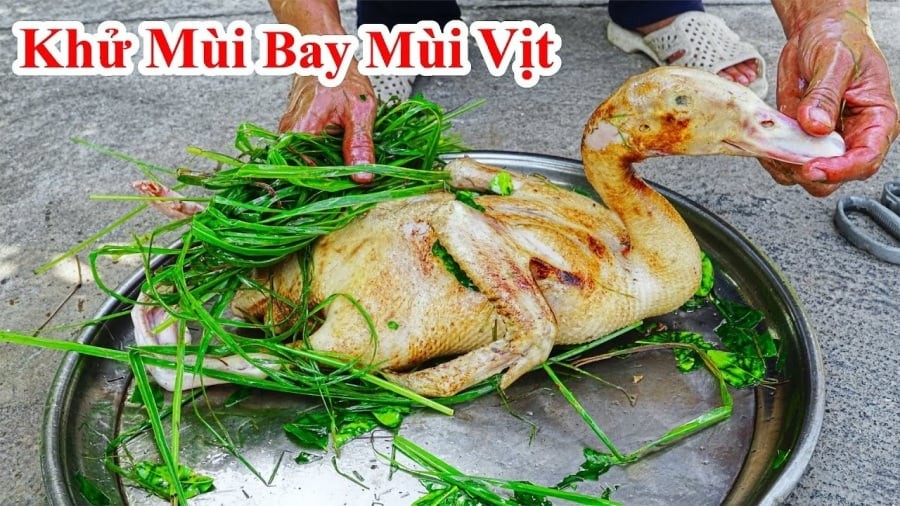 Vịt đầy lông măng thịt mãi không sạch: Vò nắm lá này thả vào chậu nước, 5 phút sạch bung