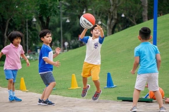 Nghiên cứu tiến hành tại nhiều trường học ở Ấn Độ đã thu thập dữ liệu về thói quen vận động, kết quả học tập và chỉ số IQ của học sinh.