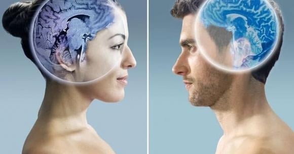 Các nghiên cứu hiện đại cho thấy, bất kể kích thước não có chênh lệch, sự khác biệt trong hành vi giữa nam và nữ phần lớn xuất phát từ văn hóa và vai trò xã hội, chứ không hoàn toàn do cấu trúc sinh học cố định.