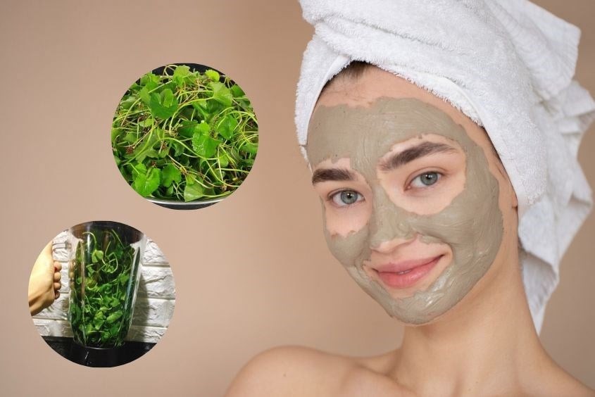 Uống nước rau má hoặc ăn kèm trong các món gỏi, salad là cách nhiều chị em lựa chọn để cải thiện làn da.
