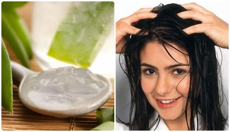 Có nhiều công thức đơn giản để bạn có thể tự làm mặt nạ ủ tóc tại nhà từ nha đam.