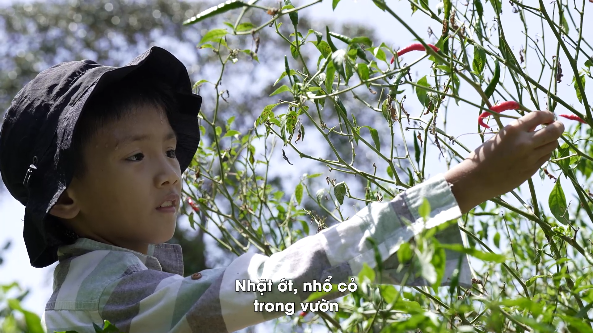 3–Em NGUYỄN MINH HUY (1)