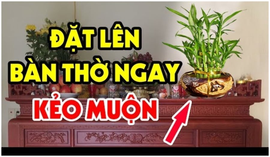 4 loại cây đặt lên bàn thờ may mắn