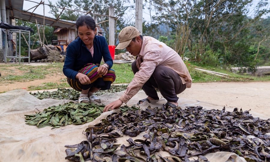 Thả 1 quả này vào nước gội đầu, tóc óng mượt, tóc con mọc tua tủa