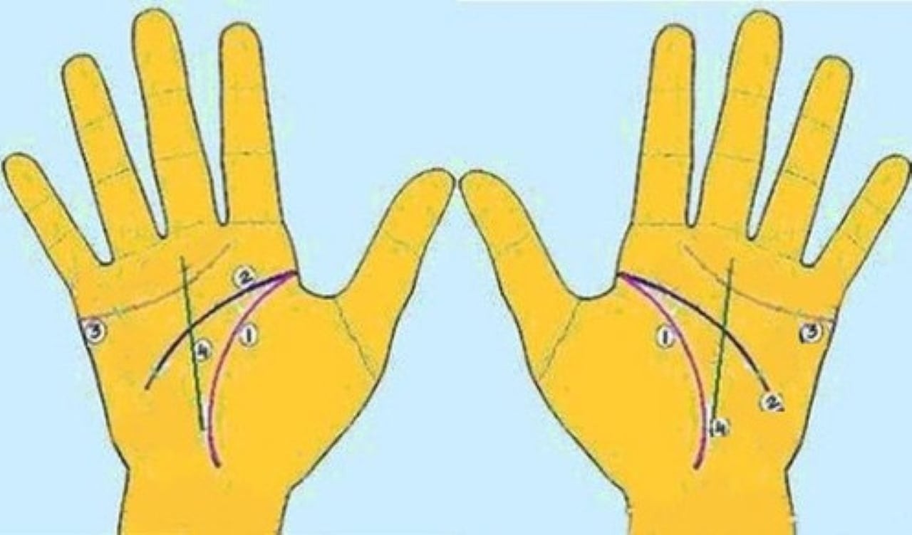 4 đường chỉ tay chính: 1. Đường sinh đạo; 2. Đường trí đạo; 3. Đường tâm đạo; 4. Đường định mệnh