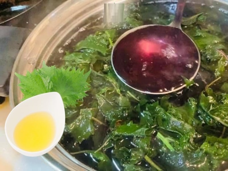 Có thể nói, chỉ cần một quả chanh vắt cùng nước tía tô, bạn đã có trong tay “thần dược tự nhiên” để mát gan, thải độc, đẹp da, khỏe người.