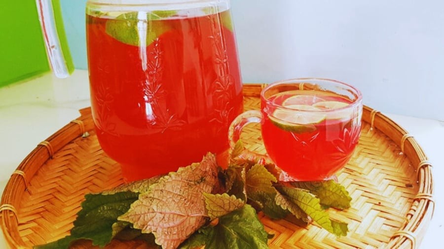 Uống nước lá tía tô cức tốt nhưng lại kỵ với 6 người này, hãy tránh xa!