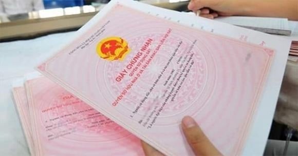 Nội dung này được quy định tại khoản 4, Điều 256 Luật Đất đai 2024.