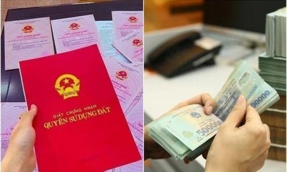 Các cơ quan quản lý đất đai cấp tỉnh sẽ hỗ trợ UBND trong việc xây dựng, điều chỉnh và bổ sung Bảng giá đất.