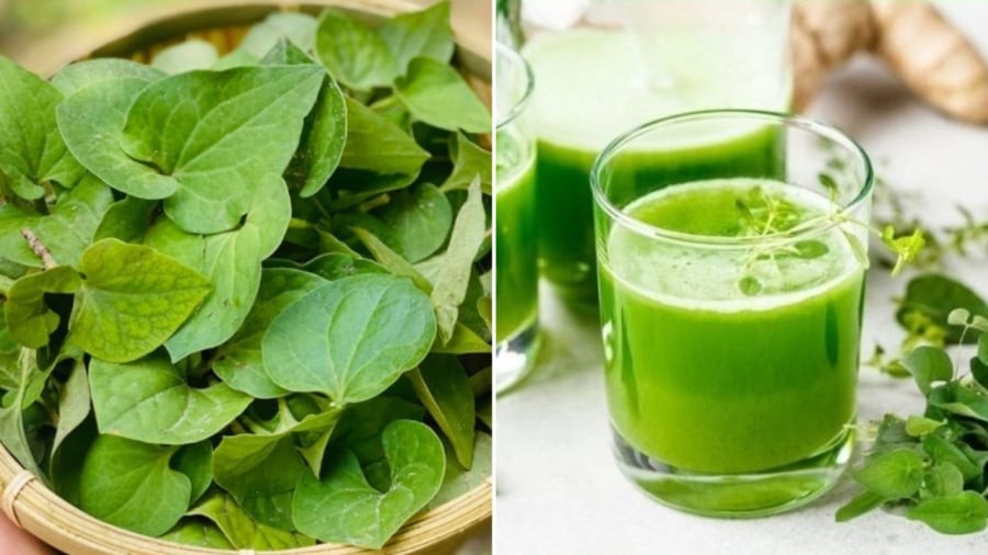 Bạn có thể kết hợp rau diếp cá với các loại nguyên liệu khác để tạo ra phần nước ép có hương vị dễ uống, mang lại nhiều lợi ích cho sức khỏe.