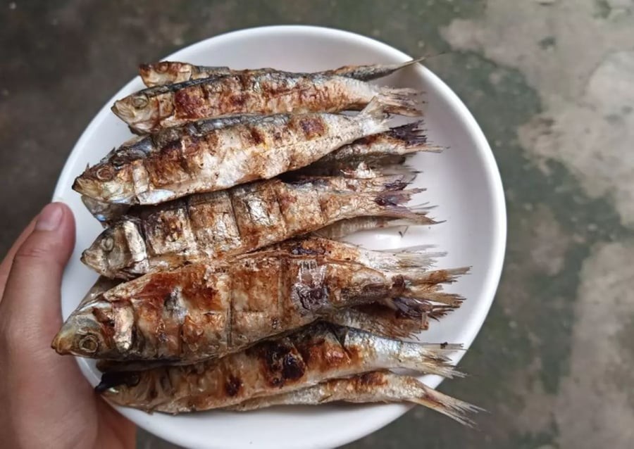 Cá trích nướng rất giàu dinh dưỡng và rất phổ biến ở Việt Nam