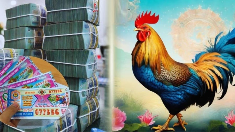 Nhiều người tuổi Dậu trong 3 tháng tới có thể ký hợp đồng mua đất, mua nhà, hoặc đổi sang xe mới. Hạnh phúc gia đình cũng được vun đầy, vừa có tiền vừa có tình, đời sống thăng hoa.