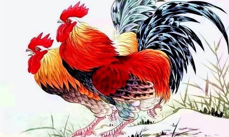 Tuổi Dậu: Hồi sinh mạnh mẽ, từ mất mát hóa lộc tài

