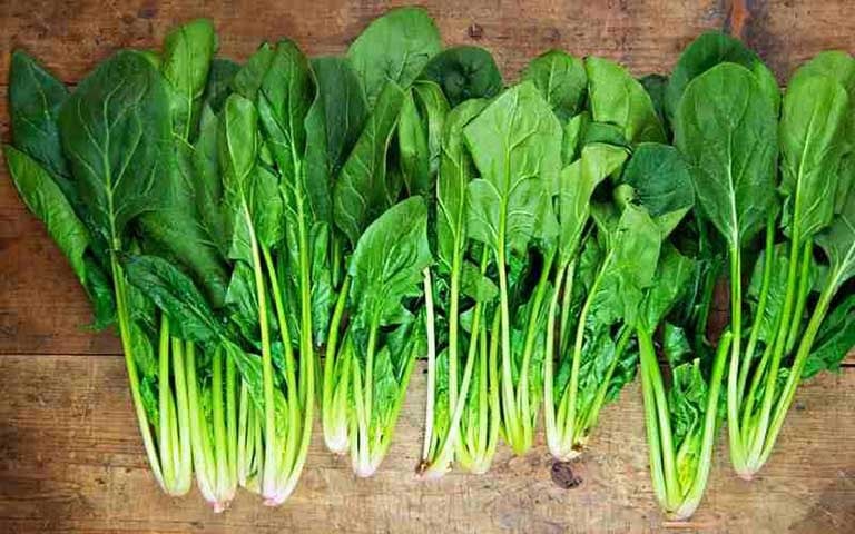 Rau chân vịt hoàn toàn có thể trở thành món ăn quen thuộc trong thực đơn mỗi ngày tốt cho làn da.