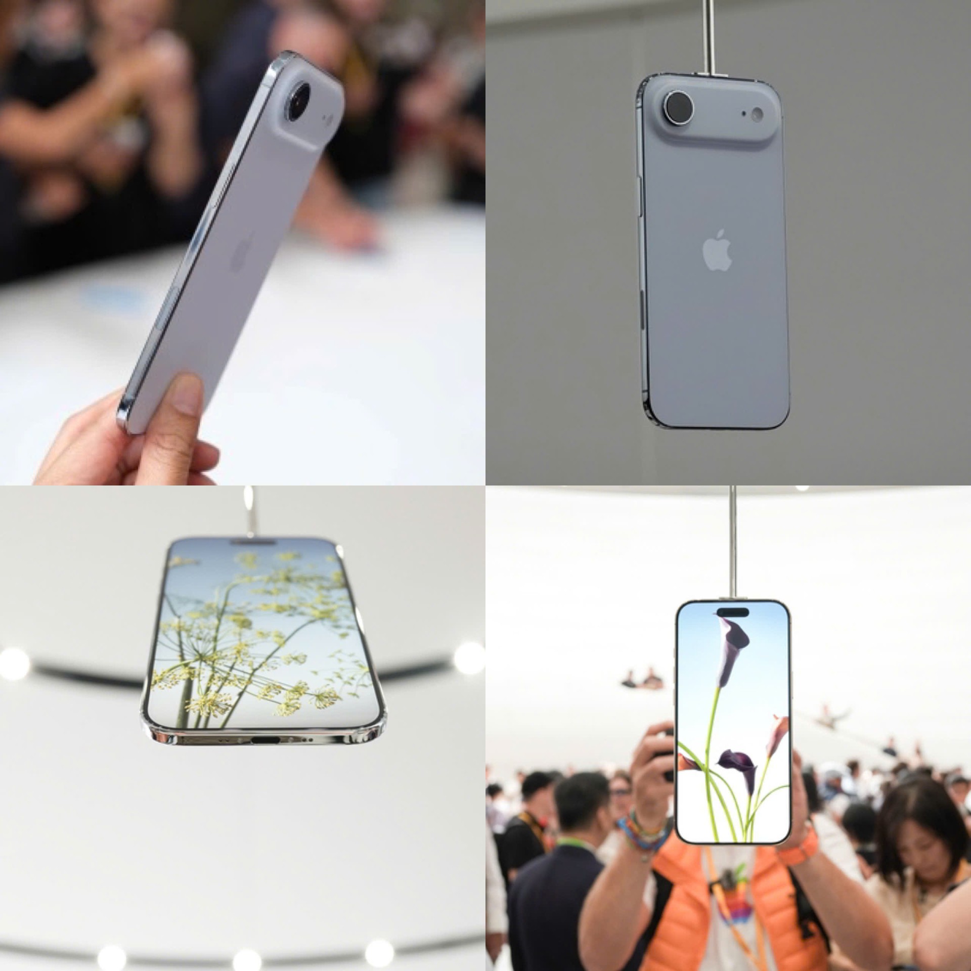 z6995635659702_28e551be820f68b26913afe03ad3fba8