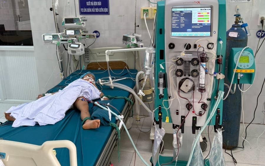 Sáng 7-9, ba em nhỏ gồm Ksor Th. (5 tuổi, xã Ia Chía, Gia Lai), A T. (4 tuổi, xã Kon Braih, Quảng Ngãi) và Trần Minh Q. (11 tuổi, phường An Phú, Gia Lai) bị tổ ong vò vẽ trong khuôn viên tấn công.