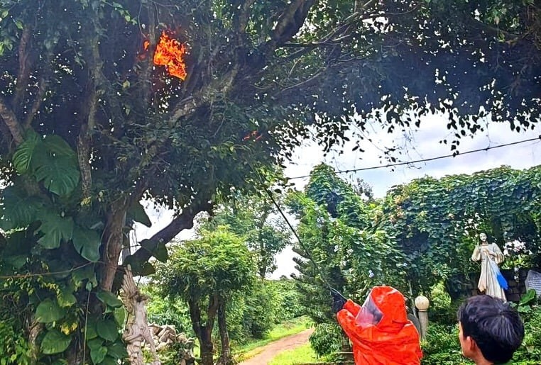 Ngay sau sự việc, Phòng Cảnh sát PCCC-CHCN Gia Lai phối hợp với Công an phường An Phú sơ tán người dân khỏi khuôn viên Mái ấm Thiên Ân và sử dụng phương tiện chuyên dụng để xử lý tổ ong, đảm bảo an toàn cho khu vực.