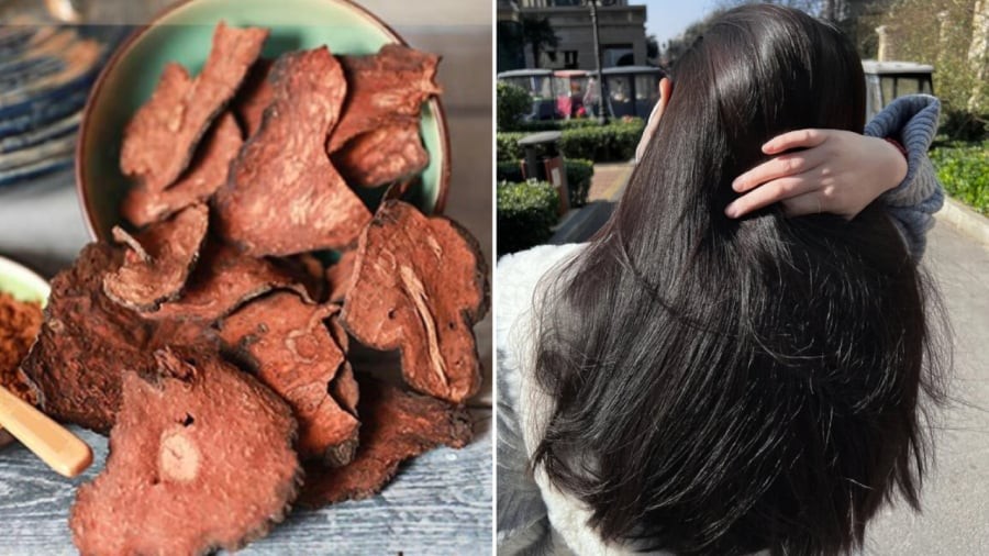 Hà thủ ô mang lại nhiều lợi ích cho sức khỏe, trong đó có công dụng ngăn chặn lão hóa tóc, giúp tóc đen bóng.