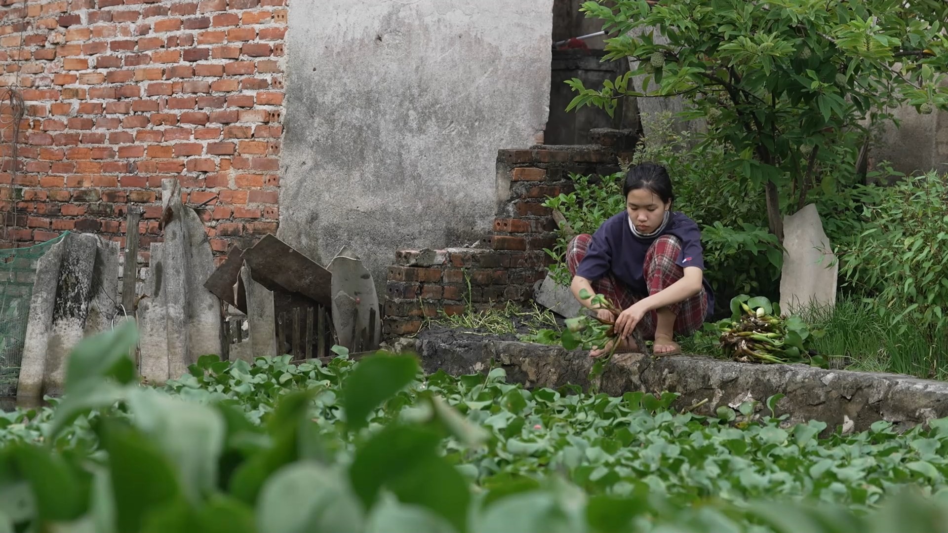 Một mãnh ruỗng được ông ngoại để lại cho Bảo Châu trước khi mất.