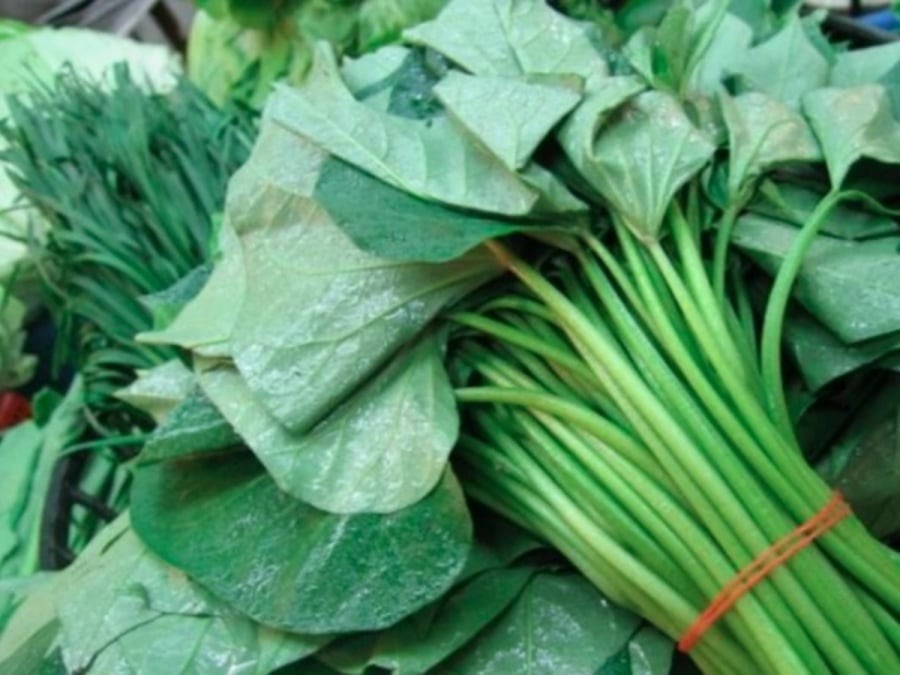 Thế nhưng khi “sang trời Tây”, rau lang lại được xếp vào hàng đặc sản, thậm chí đắt hơn cả thịt. 