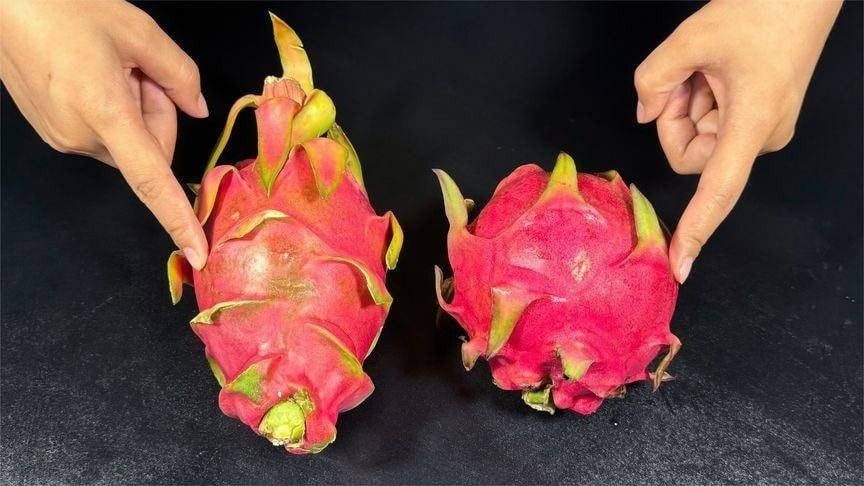 Mua thanh long chọn quả tai ngắn hay tai dài? Biết điểm này chọn 10 quả đều trúng