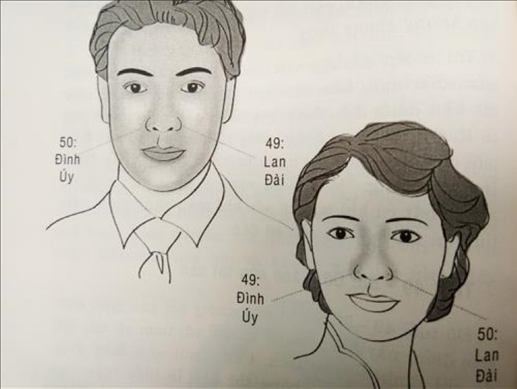 Vận số tuổi 49 – 50 được thể hiện qua các cánh mũi, biểu trưng cho khả năng kiếm tiền của một người. (Ảnh minh họa)