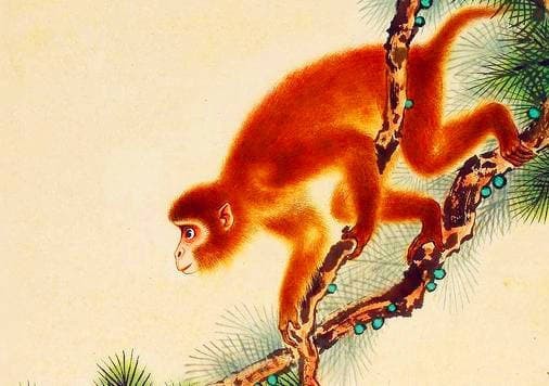 Tuổi Thân – Vận đỏ bùng nổ, quý nhân chỉ lối làm giàu

