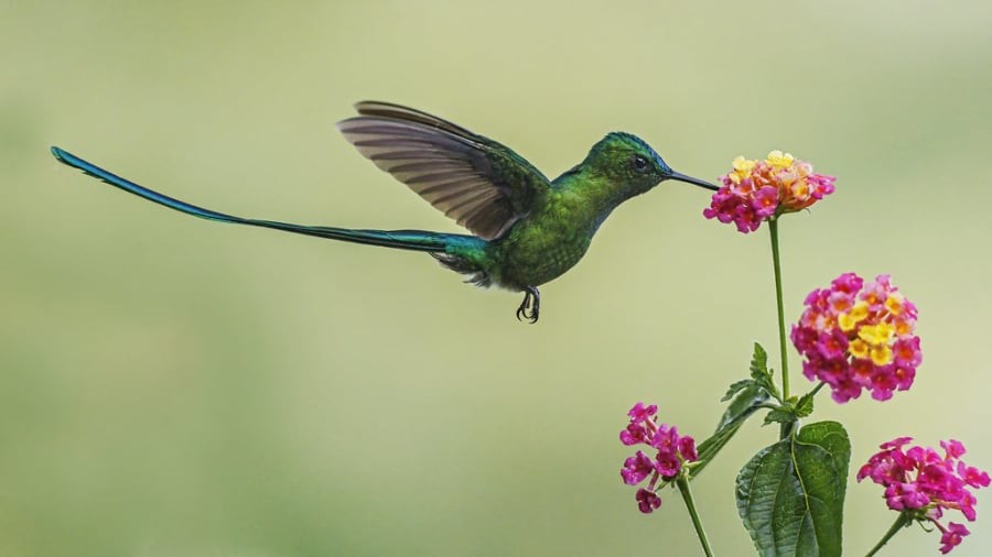 Điều đặc biệt ở người sinh tháng 3 là bản mệnh vượng vận quý nhân, cả đời lúc nào cũng có người ở bên hỗ trợ, giúp đỡ mỗi khi càn thiết. (Ảnh minh họa)