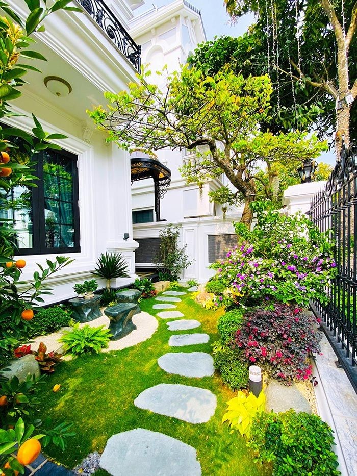 Không chỉ trang trí tạo thư giãn, cây xanh trước nhà còn giúp gia chủ chiêu tài rước lộc