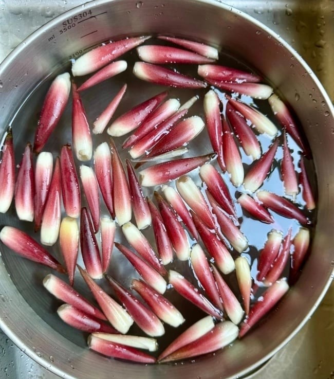 Chồi gừng được rửa sạch, tách lớp, chuẩn bị cho các món ăn thanh mát và bổ dưỡng.