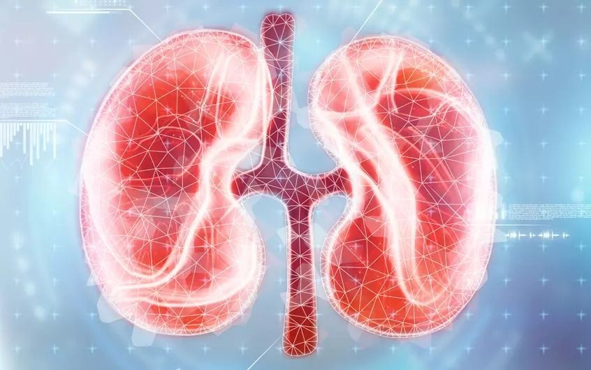 Khi thận suy yếu sẽ xuất hiện các dấu hiệu này vào buổi sáng