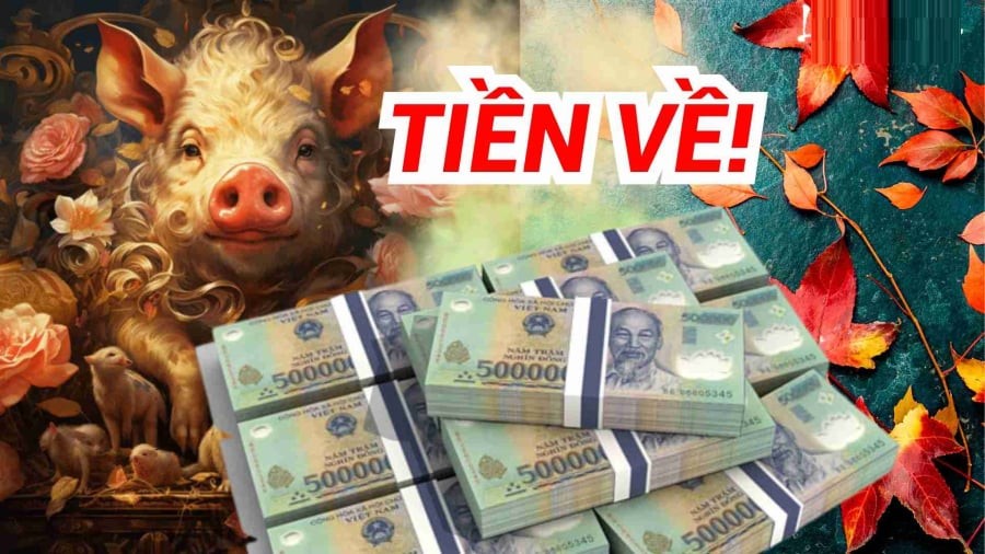 Người tuổi Hợi từ lâu đã được xem là con giáp mang số “phúc hậu”. 